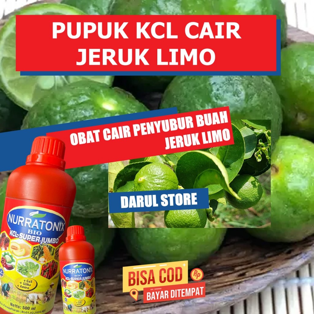 Pupuk untuk Masa Pertumbuhan dan Perkembangan Tanaman Jeruk Limo Kcl Nurratonix, Obat Cair Organik P