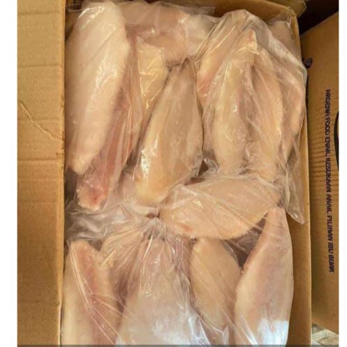 

Ikan Dory Fillet Premium Frozen Beku kemasan 1 kg