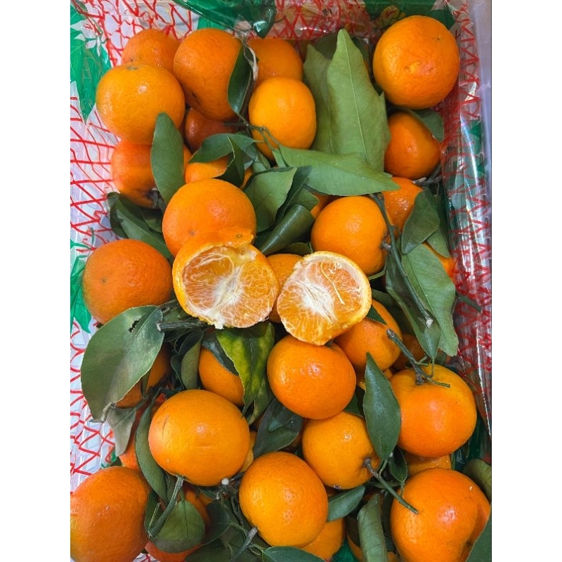 Jeruk Wokam Daun 1kg