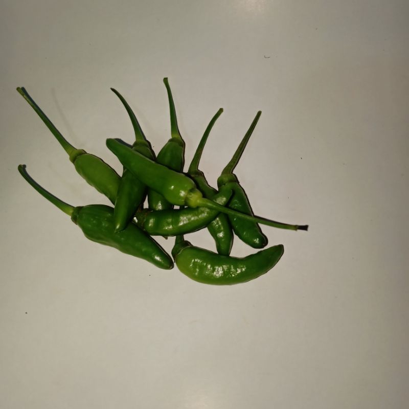 

cabe rawit hijau 250gr