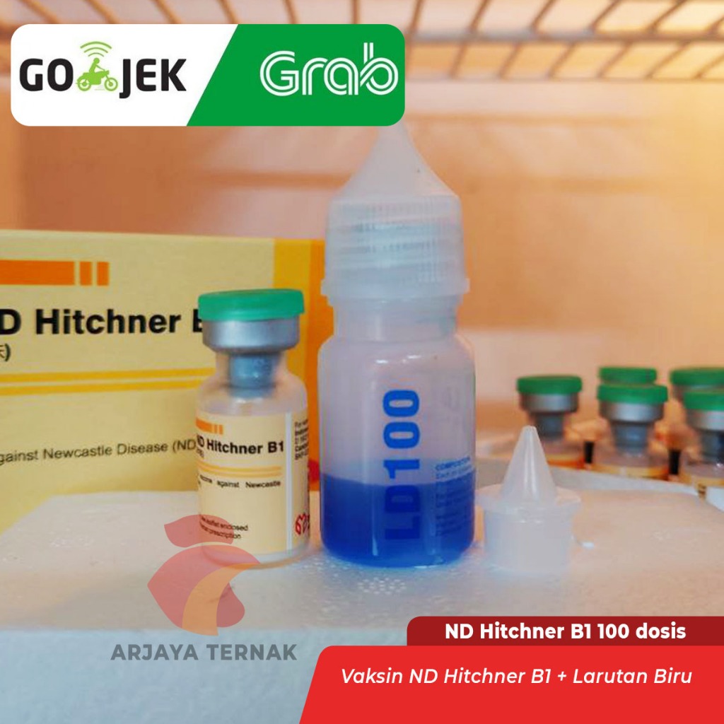Vaksin ND Hitchner B1 100 dosis mencegah penyakit virus ND tetelo pada unggas