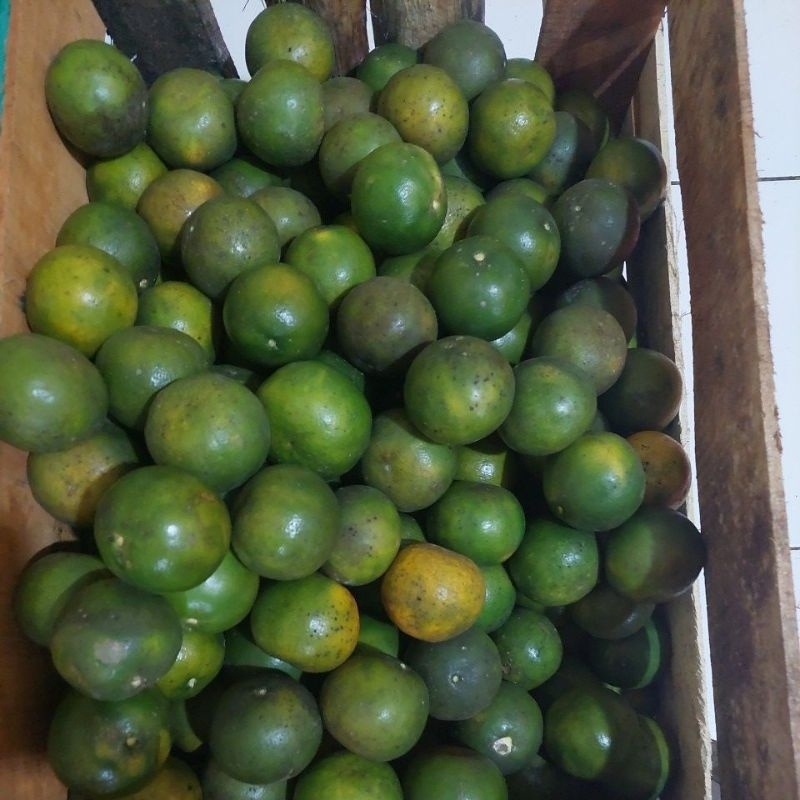 

BUAH JERUK ASLI PURWOREJO FRESH