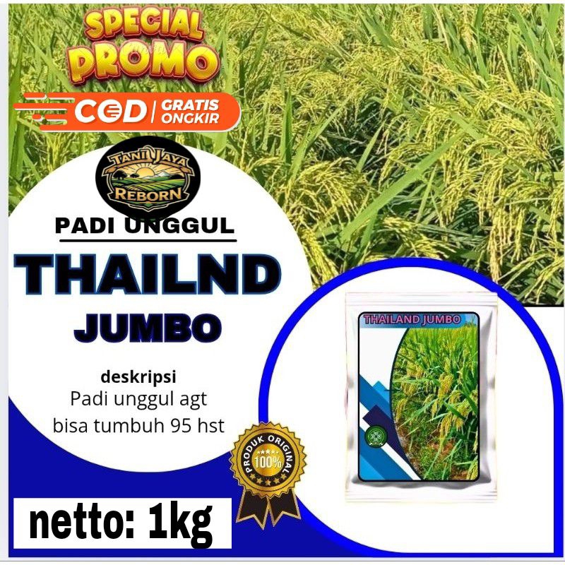 Bibit padi Thailand jumbo kemasan 1KG berkualitas.