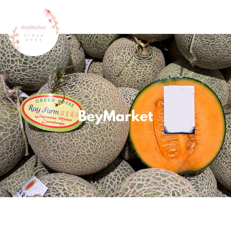 

Melon Cantaloupe Manis Daging Orange | Pcs