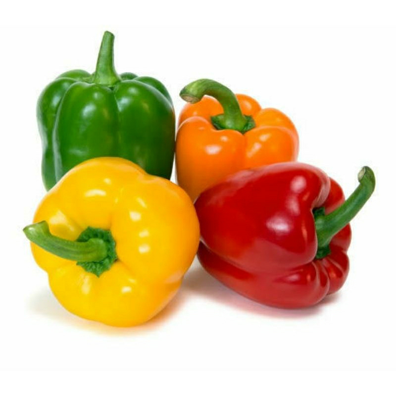 

sayuran - sayur cabai paprika per biji by pasar Tasik online