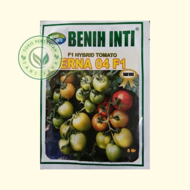 Benih Bibit Tomat ERNA 04 F1 Benih Inti