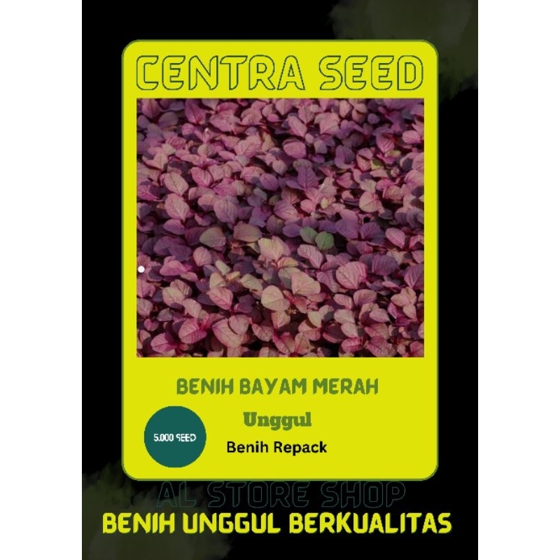 5000 biji Benih Bayam Merah Unggul Kemasan Repack - Bayam Repack