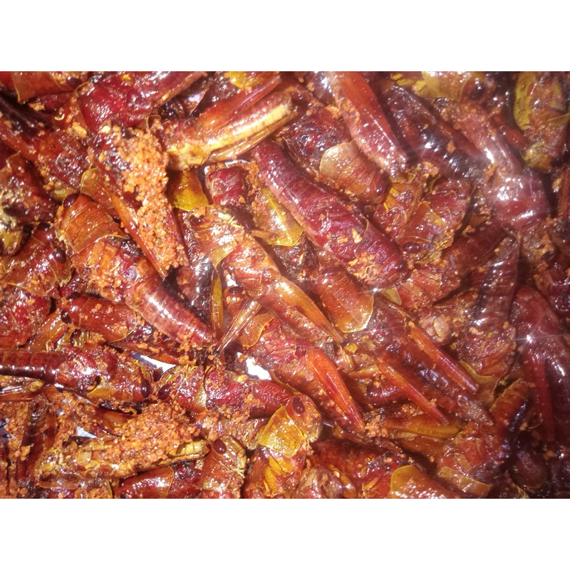 

BELALANG GORENG KRIUK PEDAS ASIN
