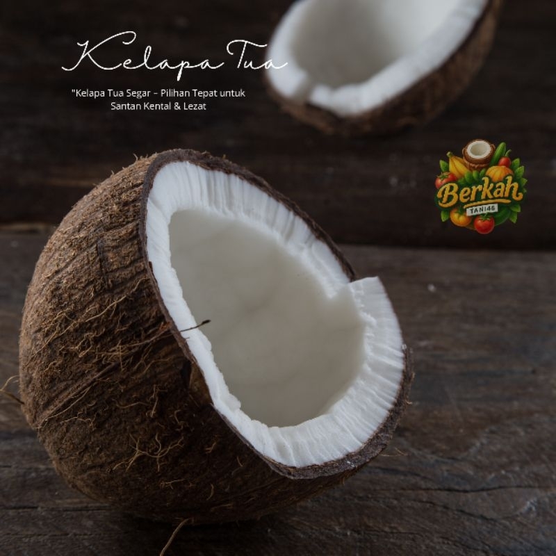

Kelapa Tua Bersantan KECIL