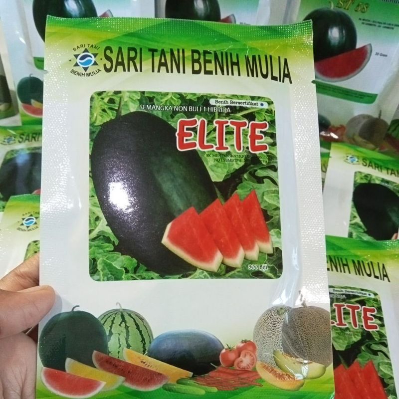 Benih semangka non biji elite