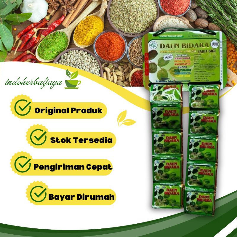 

Daun Bidara Kapsul Asam Urat Pegal Linu Hanger
