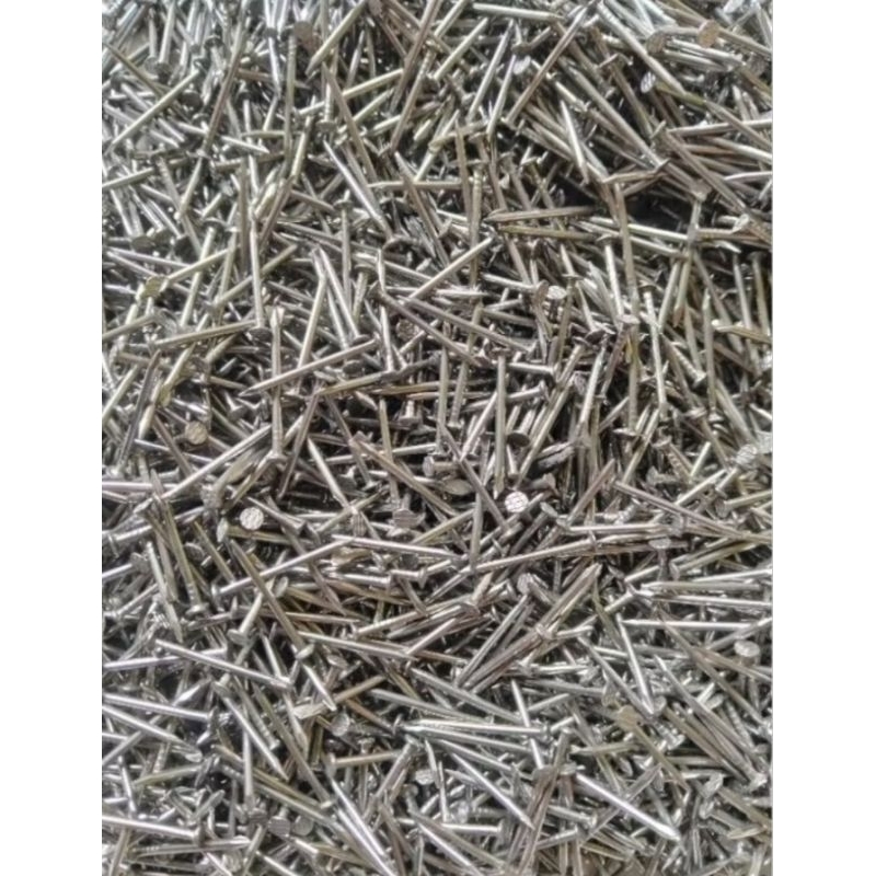 Paku Kayu 1/2inch 3/4inch