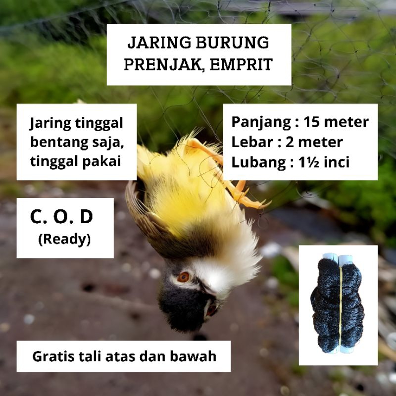 JARING BURUNG PRENJAK JARING BURUNG EMPRIT JARING SIAP PAKAI JARING BURUNG JARING MONTANA
