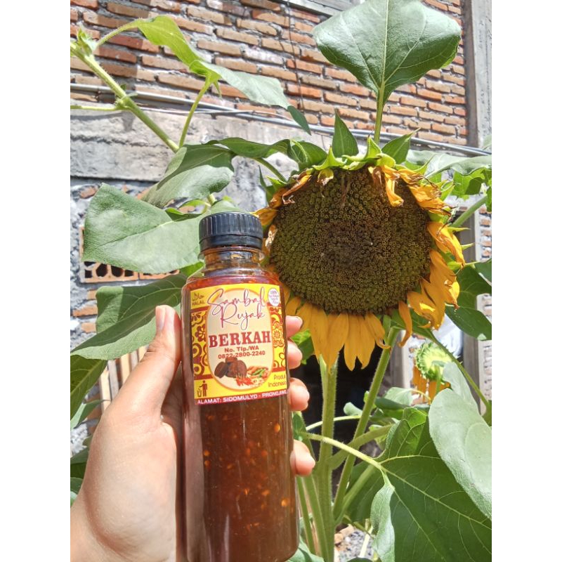 

Bumbu sambal rujak manis berkah