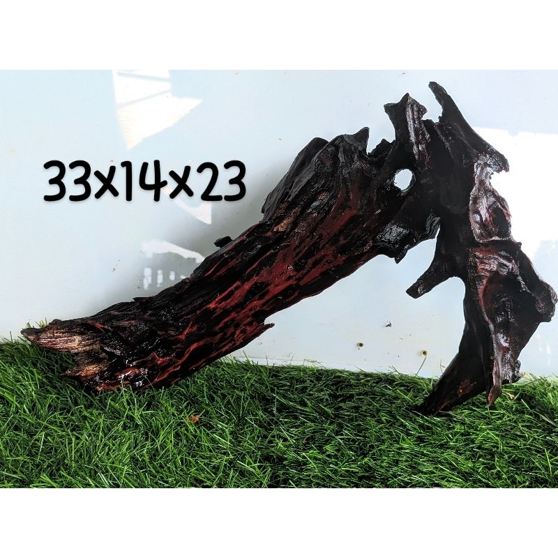 Kayu tenggelam aquascape