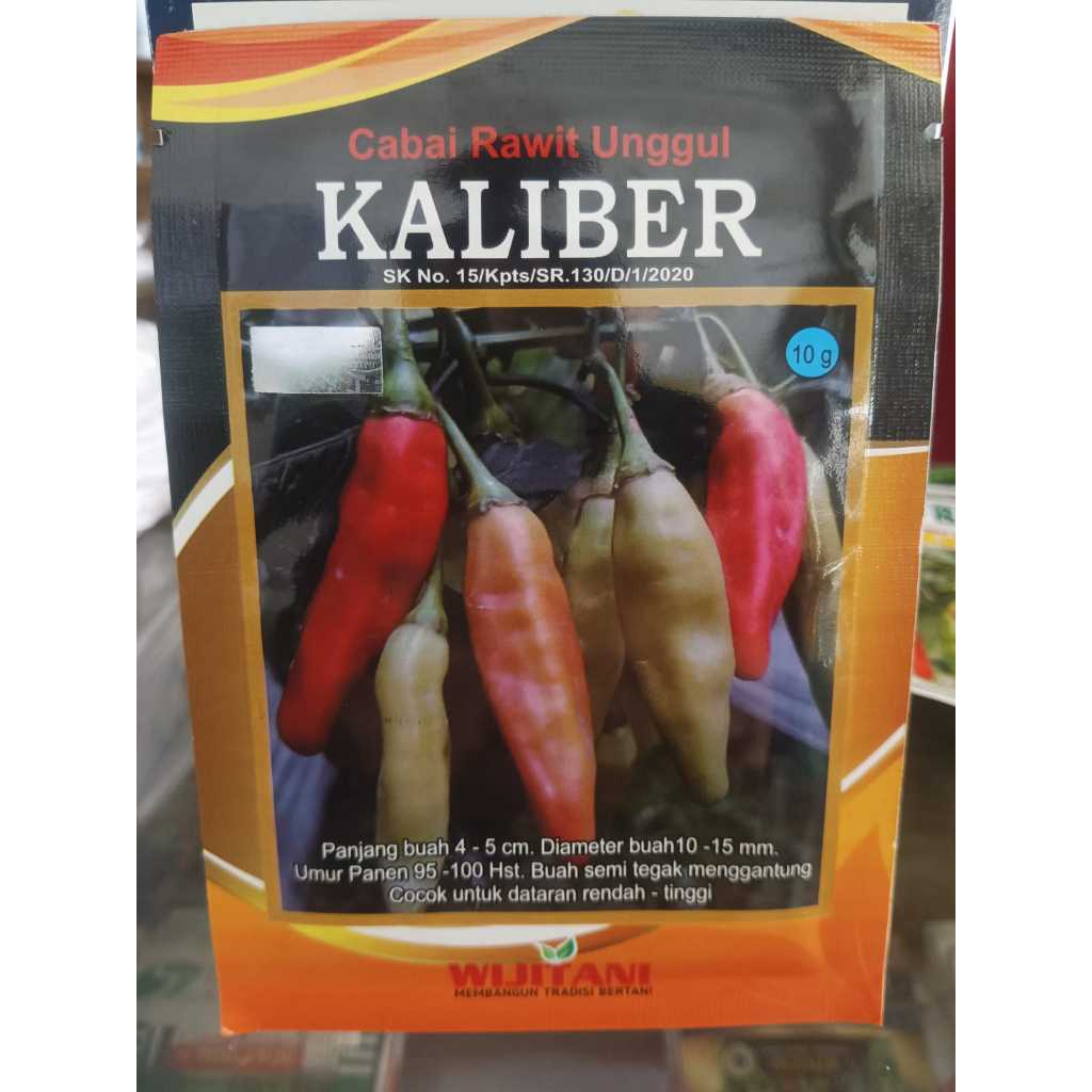 Benih Cabe Rawit KALIBER 10 Gram - Bibit Cabe KALIBER