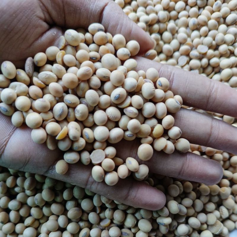 

TOMTOMSHOP kedelai 1 kg