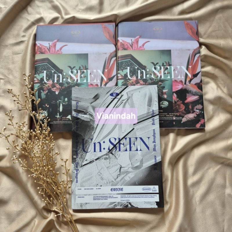 ALBUM EVNNE UNSEEN