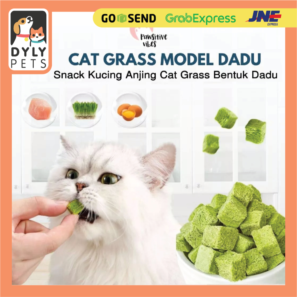 DYLY - Snack Cat Grass DADU Kucing (25 gr) / Pawsitive Vibes Campuran Catnip, Ayam, Minyak Ikan