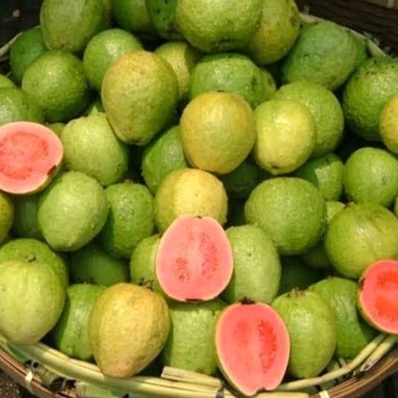 

Ay00! Jambu Merah Citayam 1 Kg