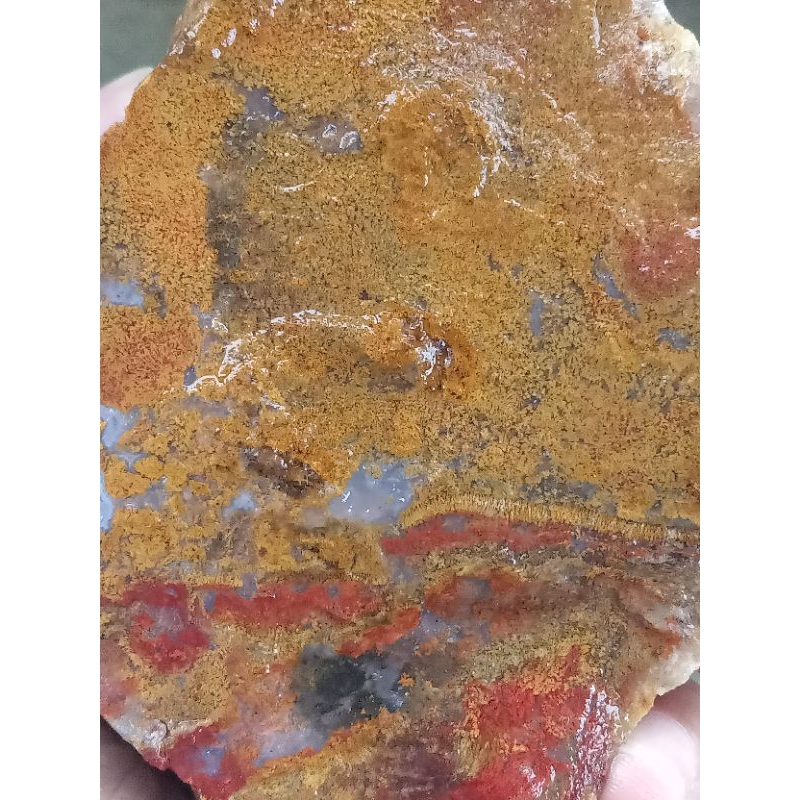 ✅ Batu Akik Lumut Kuning ( Rough / Bahan Batu Akik Natural asli Sumatera Selatan - bukan bacan obi f