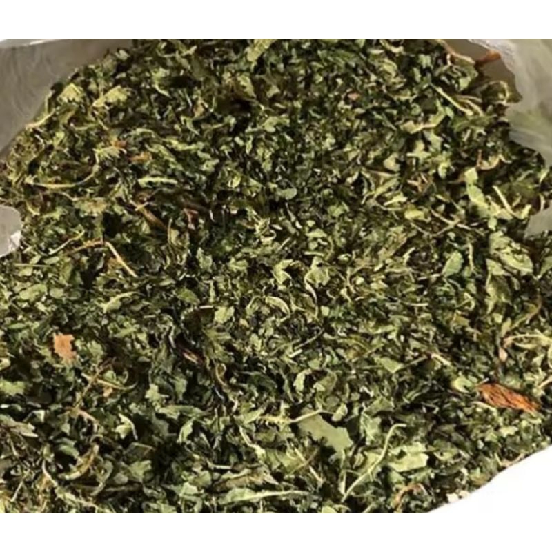 

DAUN PEPAYA SUDAH KERING