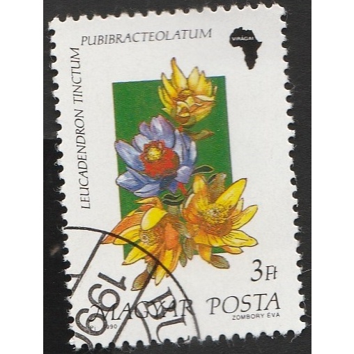 

A 11999 SATU BUAH PRANGKO HONGARIA NOMINAL 3 FORINT TEMA TANAMAN LEUCADENDRON TINCTUM DENGAN KONDISI SUDAH ADA CAP