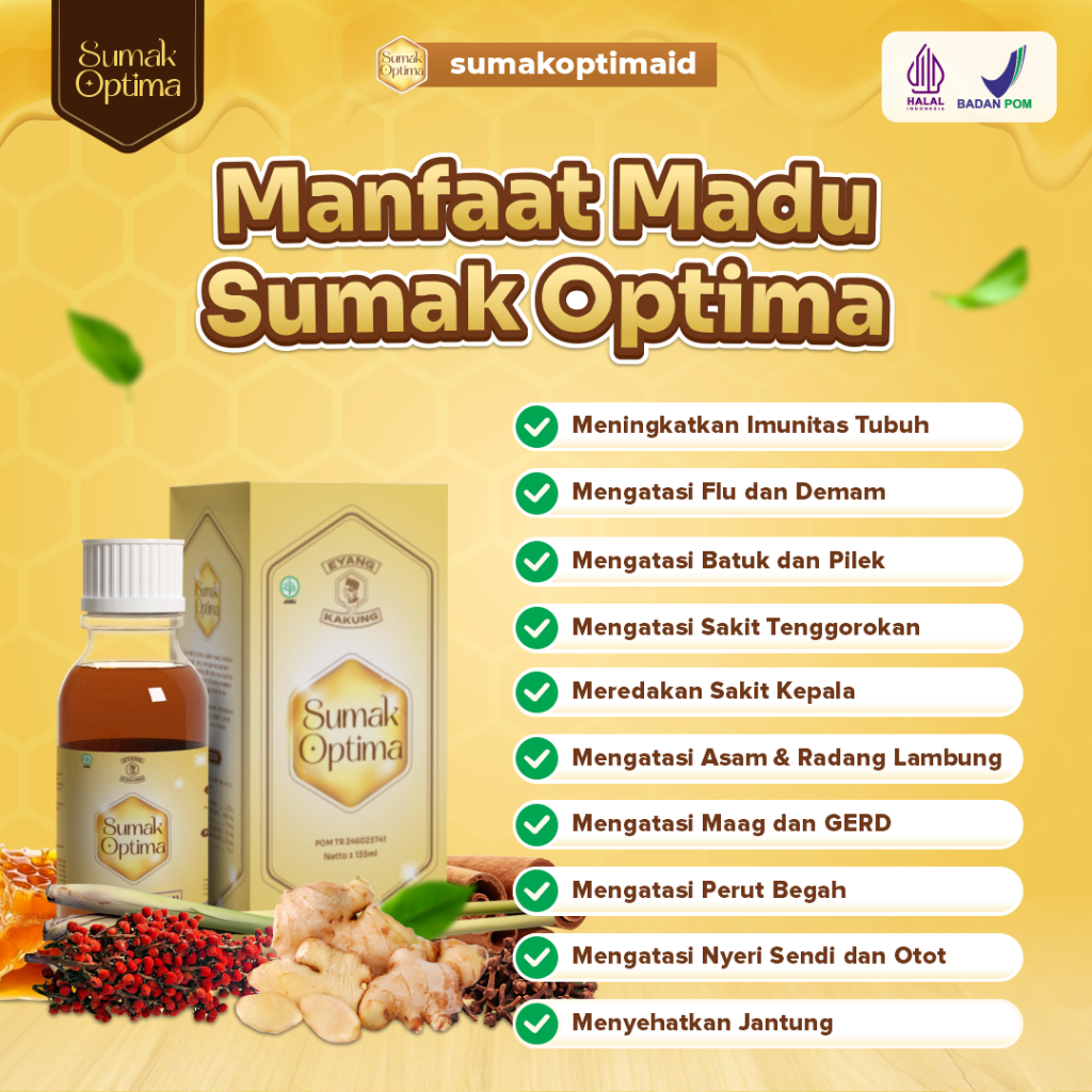 

QH Madu Sumak Optima Paket HEMAT 3 Box Atasi Maag Asam Lambung Gerd Tingkatkan Imunitas Jaga