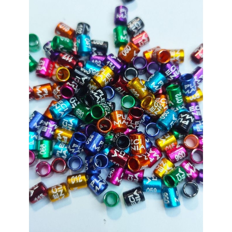 Ring pleci sudah ada nama PLECI MANIA