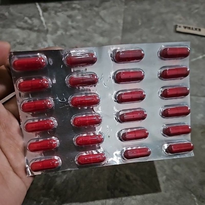 blister papan isi 24 kapsul obat kuat merah scarlet