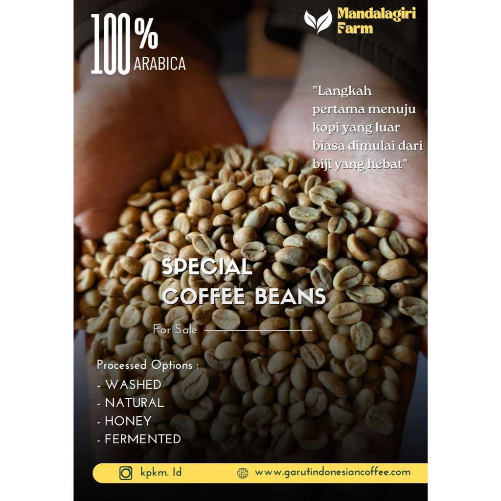 

Green Bean Arabika Kopi Garut Mandalagiri Natural Proses - Biji Kopi Mentah