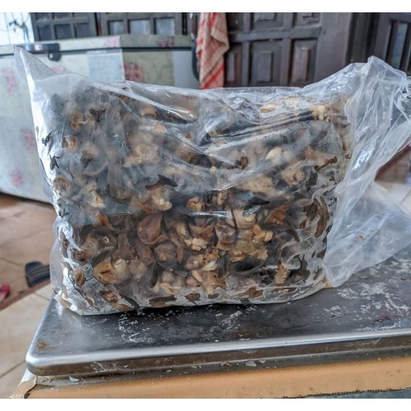 

bekicot mentah siap olah 900 gram