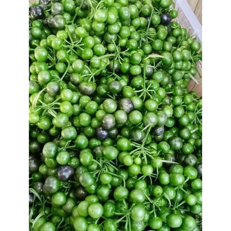 

Lenca lencak per 500gram
