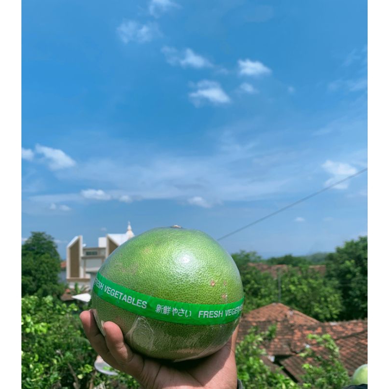 

Jeruk Pamelo Madu Berat 700 gr - 800 gr, dari Pati Lereng Muria