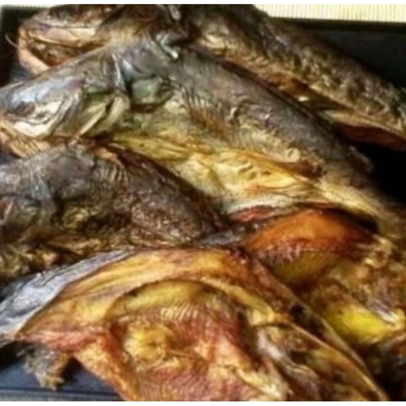 

ikan baung khas Sumatera