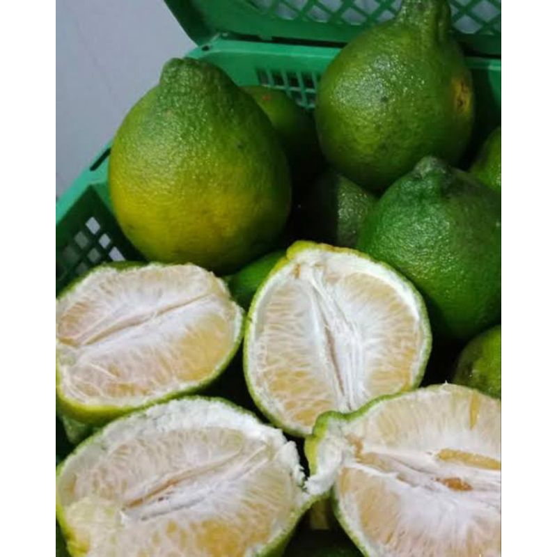 

Jeruk madu susu manis 500gram/ buah jeruk madu susu manis 500gram