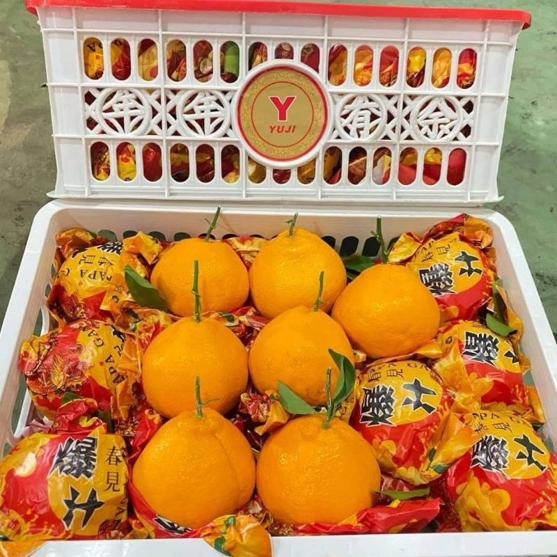 

JERUK DEKOPON PAPAGAN YUJI 1 KERANJANG XL