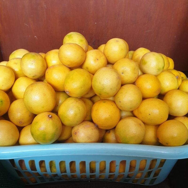 

[KHUSUS BANDUNG]Lemon Kuning California lemon peras