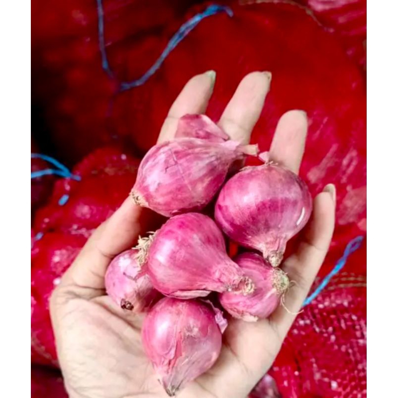 

Bawang Merah Lokal PROBOLINGGO Berkualitas 1kg - Termurah