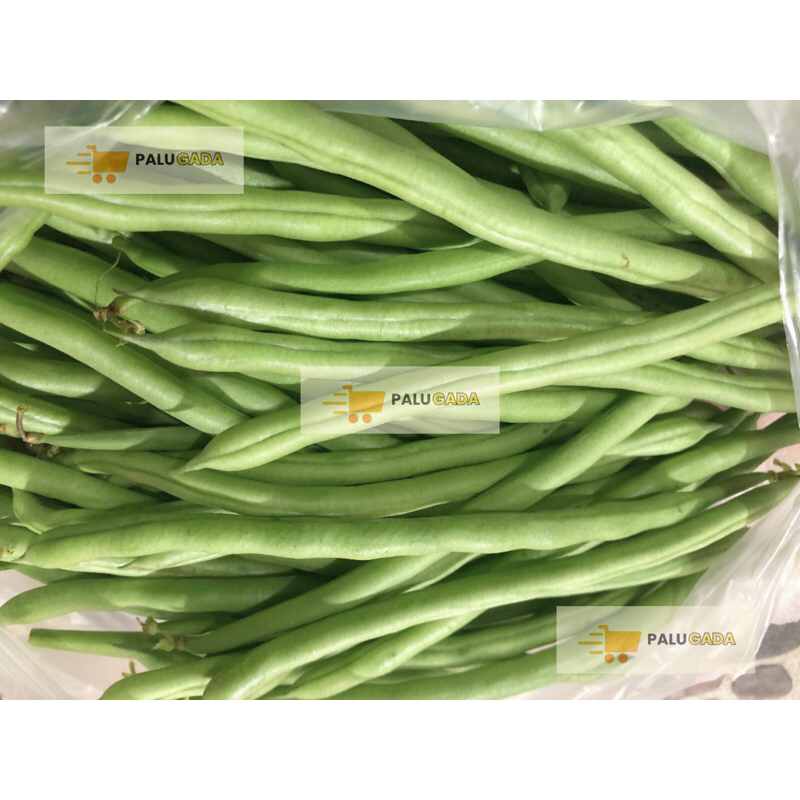 

SAYUR KACANG BUNCIS SEGAR