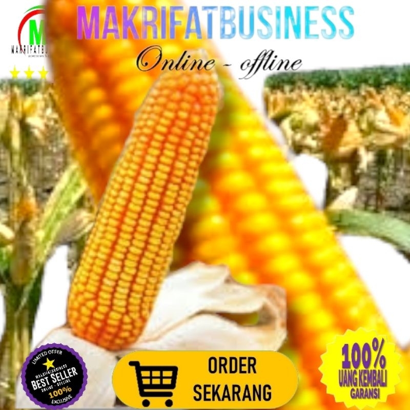 

MAKRIFATBUSINESS Paket 30 kg JAGUNG PIPIL HIBRIDA Kwalitas Bersih Untuk Konsumsi Pakan Ternak Bibit Serta Keperluan lainnya