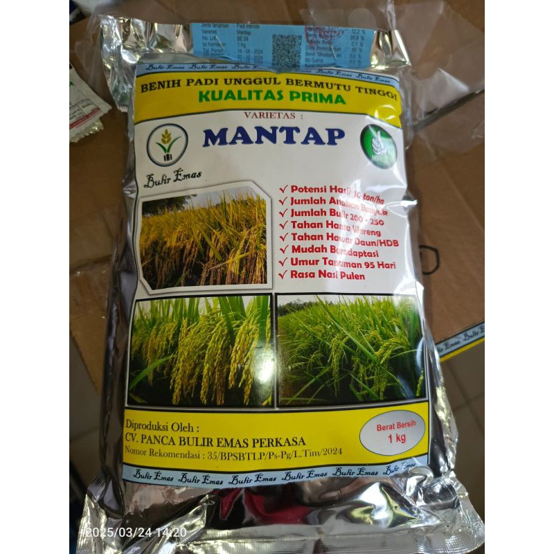 Benih Padi Unggul Varietas MANTAP