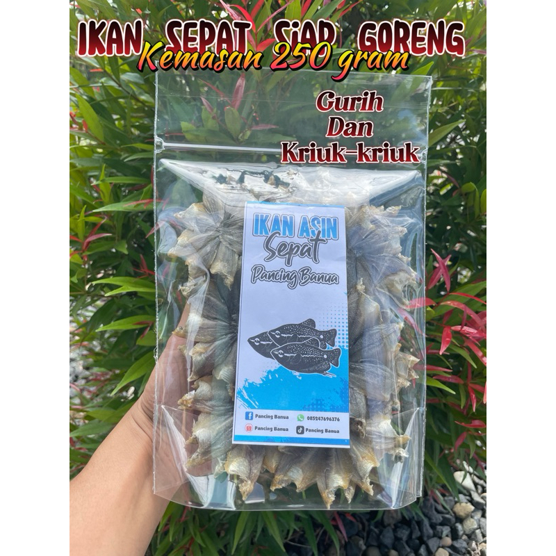 

IKAN ASIN SEPAT KEMASAN 250GRAM