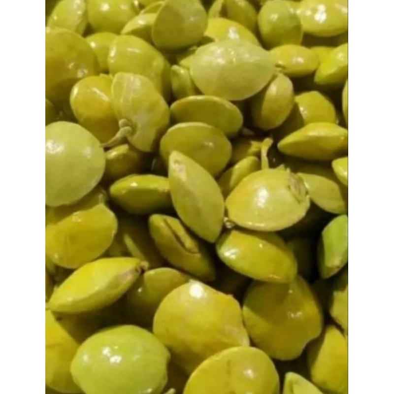 

jengkol muda segar/pilihan terbaik/blum di kupas redy siap kirim