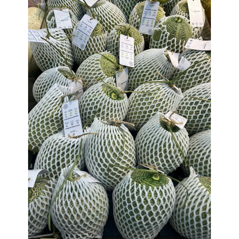 

Melon hamiqua sweet | melon daging manis garing -+1,9 kg
