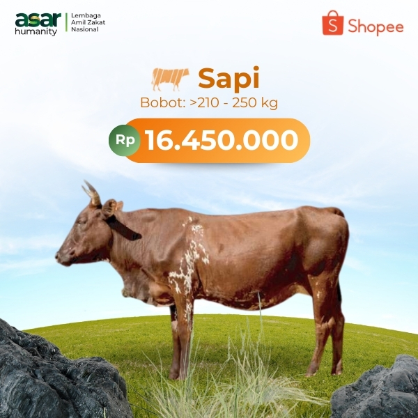 

Qurban Tuk Saudara Palestina - GRATIS Voucher Umroh 1JT - Qurban EXTRA MANFAAT!