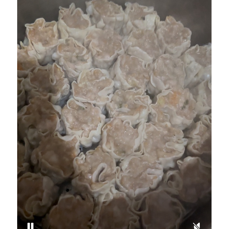 

dimsum frozen