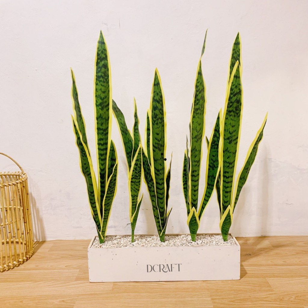 Pohon Sansivera Artificial / Tanaman Lidah Mertua Artifisial / Partisi Sansivera Artifisial