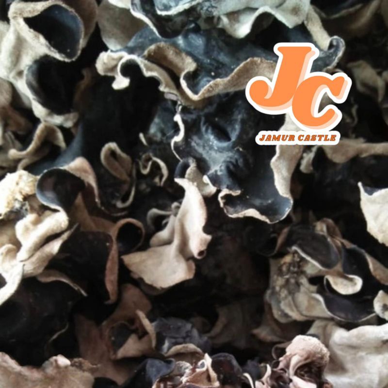 

jamur kuping hitam kering 1kg gread B