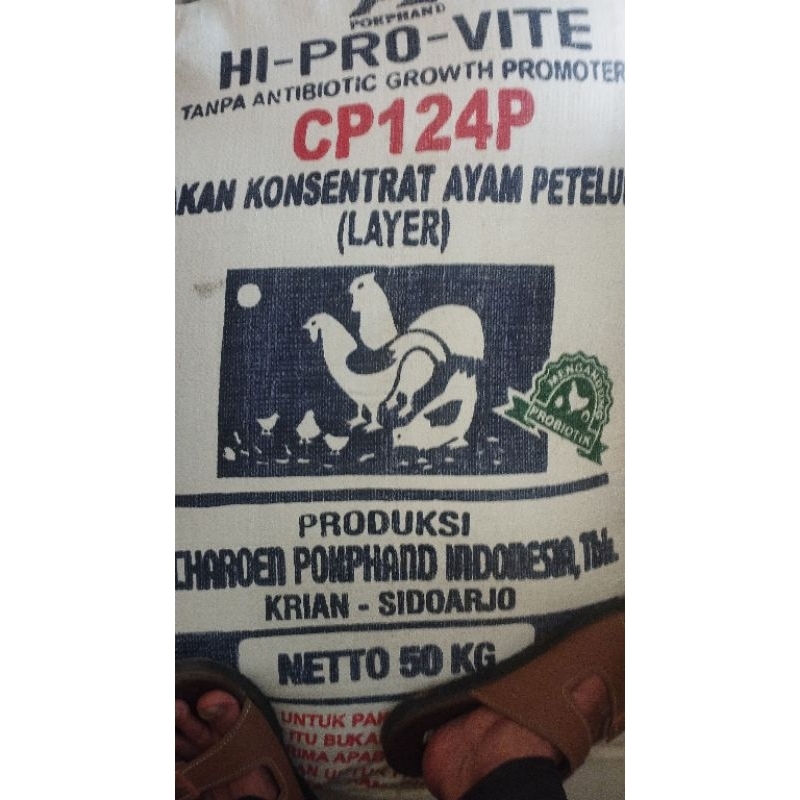Pakan ayam petelur konsentrat 124 P pokphan 500gr